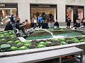 NJ_NY 014